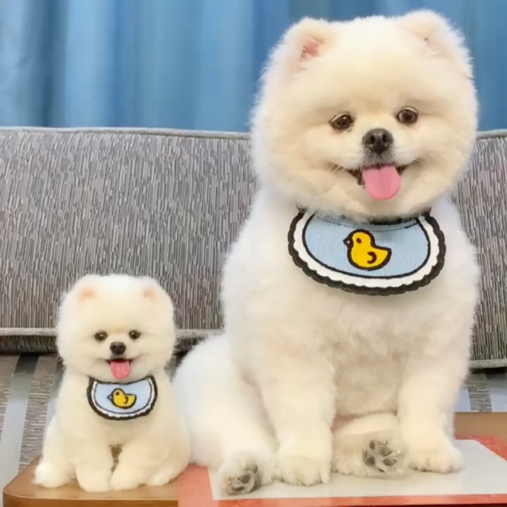 Handmade Wool Felt-Small